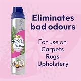 1001 Carpet Fresh Exotic Fruit & Coconut 300ml x6 - WoolSafe view 2