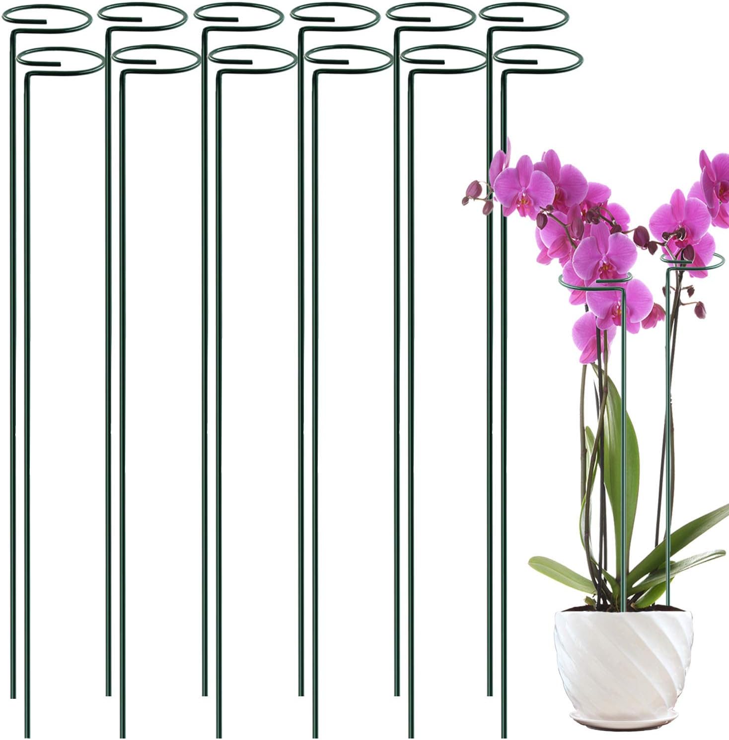12 Pack 36 inch Plant Support Stakes, Single Stem Plant Support Stake Single Plant
