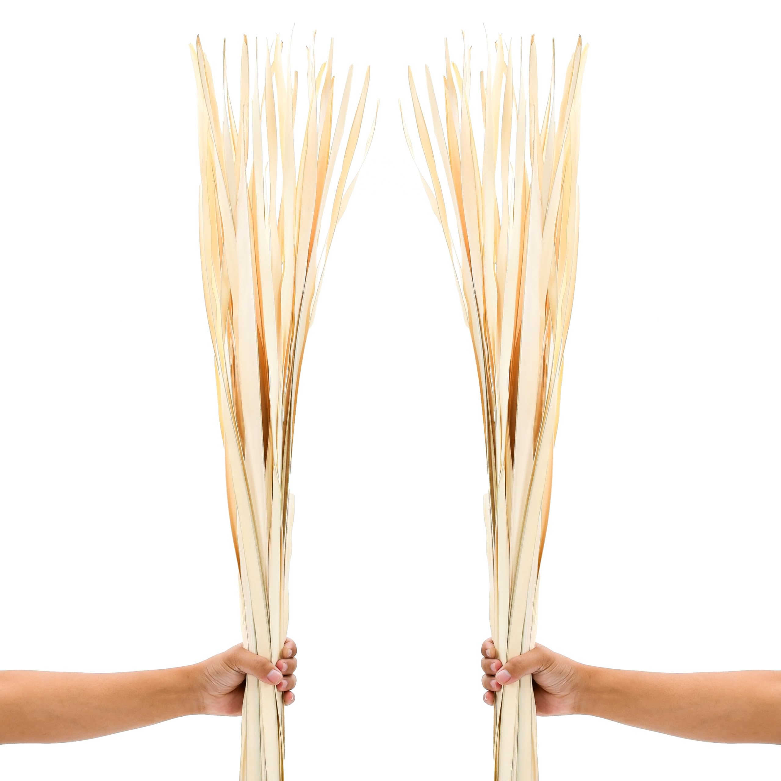 Leewadee Tall Vase Filler, Dried Palm Leaves – 2 Bunches Of Colored Decor for Floor Vases, Naturally Dried Arrangements For Vintage Or Modern House Decor, 115 cm, Ecru