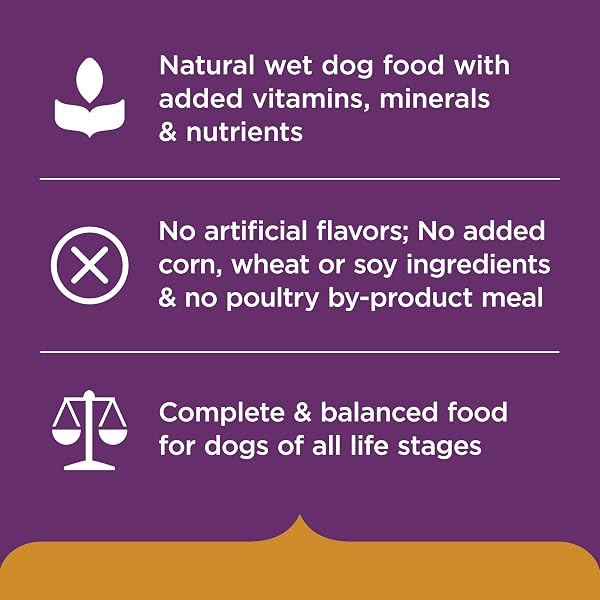 NUTRISH RACHAEL RAY WET DOG FOOD VARIETY PACK HEARTY RECIPES, 6-8 OZ. TUBS, 2 COUNT