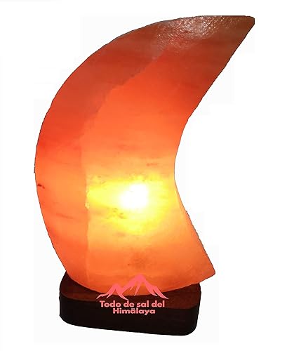 lampara de sal del himalaya forma de
