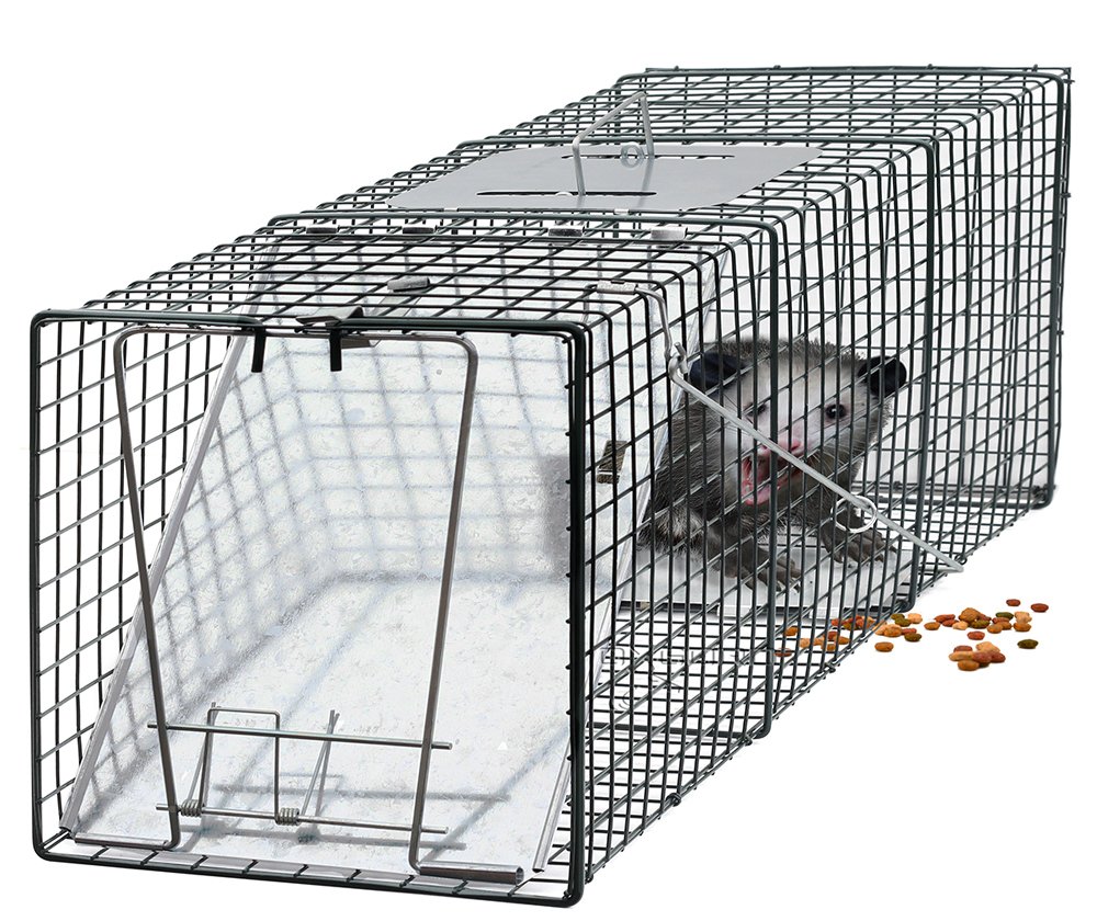 Amazoncom OxGord Humane Pest And Rodent Control Live Animal Trap