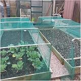Gardening Naturally Green Butterfly Netting 4m x 5m Brassica Protection view 4
