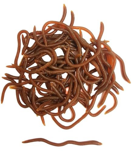 Amazon.com : Berkley Gulp! Earthworm , Brown, 4-Inch : Artificial