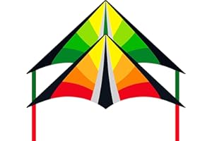 Lanrui Large Delta Kites for Kids & Adults, Easy to Fly Kite, Beginner Kite for Kids Ages 4-8,Best Beach Kite for Beginners, 300ft Kite Handle