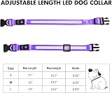 MASBRILL Light Up Dog Collar Purple S USB Rechargeable Waterproof 3 Modes view 5