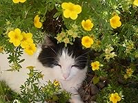 Review Image by marypatric marypatric