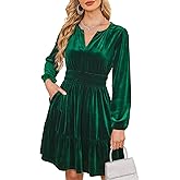Sexyasasii Womens Velvet Dress V Neck Empire Waist Elegant Long Sleeve Cocktail Party Fall Winter Mini Dress with Pockets