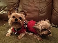 Review Image by L. Fish