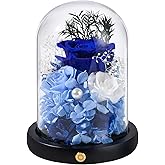 FIACO Valentines Day Preserved Flowers Rose Gifts for Women, Birthday Gifts Eternal Rose in Glass Dome Long-Lasting Real Forever Flowers Gifts for Mom Grandma Wife Her Girlfriend