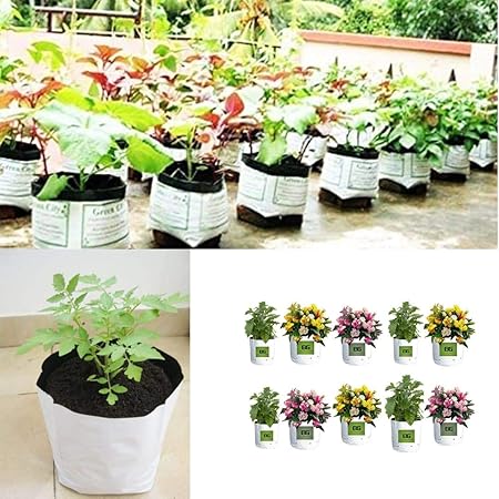EG ELAMGREEN Grow bags for plants 16x16x30cm (Pack of 10) with Vegetable seeds kit of 8 varieties
