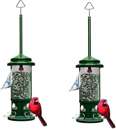 Amazon Com Squirrel Buster Standard Squirrel Proof Bird Feeder W