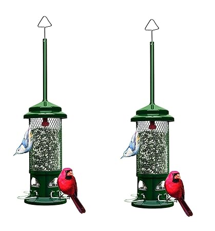 Squirrel Buster Plus Squirrel Proof Bird Feeder W Cardinal Ring