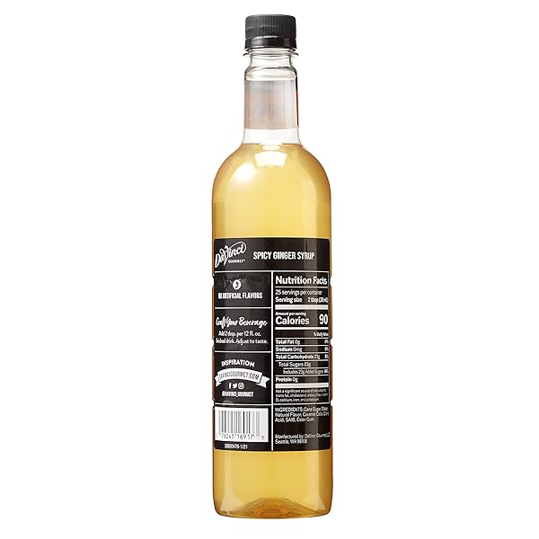 DAVINCI GOURMET SPICY GINGER SYRUP, 25.4 FLUID OUNCES (PACK OF 1)