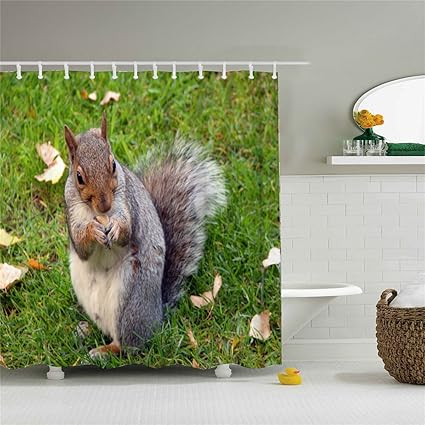 Amazon Com Wings The Bathroom Decoration The Squirrel Shower