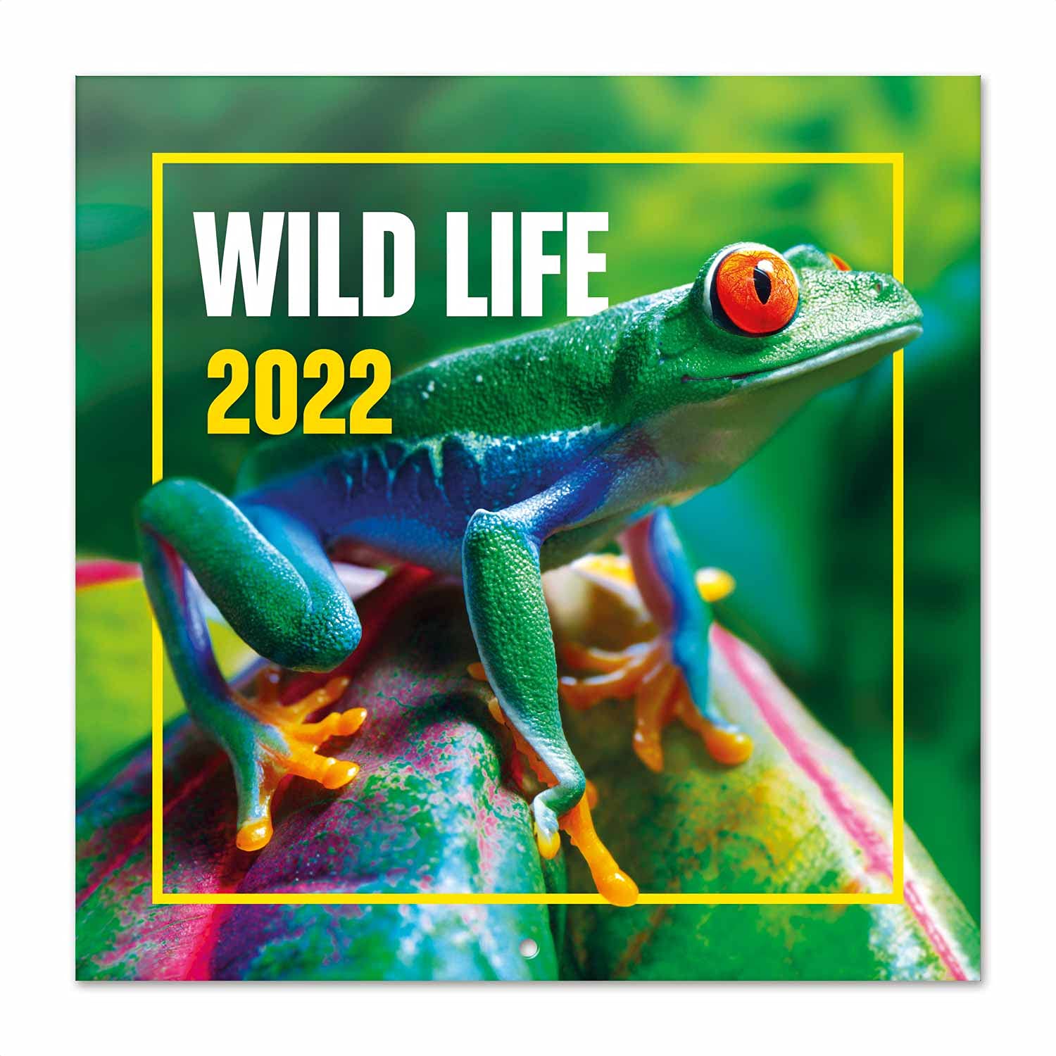 Grupo Erik: Official Wildlife 2022 Wall Calendar, 2022 Calendar, 12' x 12' Square Wall Calendar 2022, Family Calendar 2022, Animal Kingdom Calendar 2022, Nature Calendar