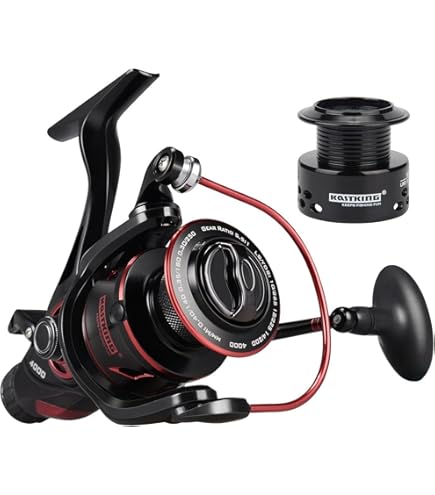 ダイワ　BLACK WIDOW 25Aリール2台セット　鯉釣り Amazon.com : Daiwa Black Widow 25A Carp Fishing Reel - BW25A