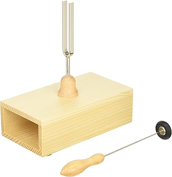 Wittner Afinador Caja de resonancia: Amazon.es: Electrónica