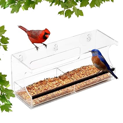 Ashman Deluxe Window Bird Feeder Spacious Design Attractive Long Lasting Fill It With Sunflower Black Oil Seeds Easy To Install Clean And Fill
