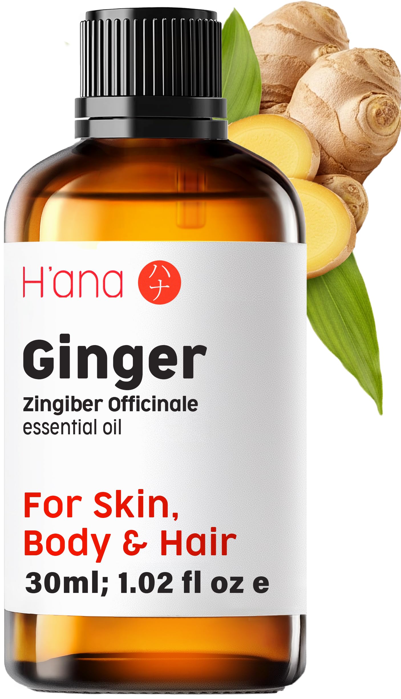 H'ana Ginger Essential Oil - 100% Pure Essential Oil for Hair, Skin, Diffusers, Aromatherapy, and Massage - with a Spicy, Gingery Smell (30ml)
