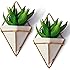 California Home Goods 2 Small Decorative Geometric Hanging Planters Pot for Indoor Wall Decor, Planter For Succulent Plants, Air Plant, Cacti, Faux/Artificial Plants, White Ceramic/Brass, by