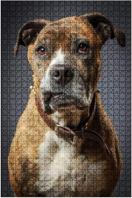 Amazon 木製ジグソーパズル500ピースジャイアントシュナウザープードルミックス犬ジャイアントシュヌードル犬の肖像画挑戦的なボードパズルゲームおもちゃギフト家の装飾 Puzzle8 ジグソーパズル おもちゃ