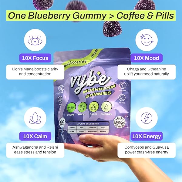 VYBE DAILY NOOTROPIC GUMMIES – 8-IN-1 MUSHROOM & ADAPTOGEN BRAIN SUPPLEMENT FOR FOCUS, ENERGY, AND MOOD WITH LION’S MANE, CORDYCEPS, REISHI, CHAGA, ASHWAGANDHA (BLUEBERRY, 60-COUNT)