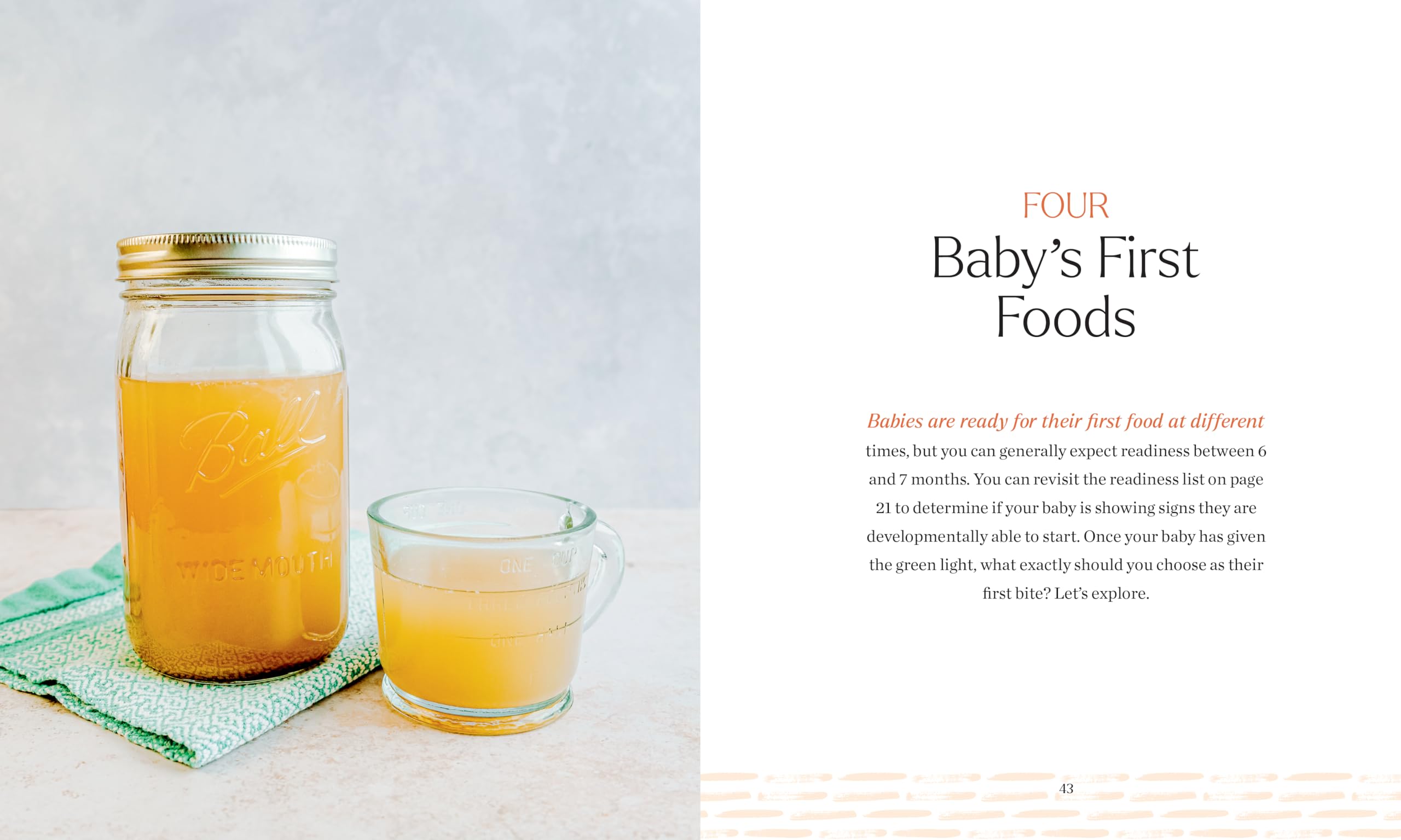 Brain Food for Your Baby: An Organic Baby Food Cookbook and Nutrition Guide for Gut Health (Every Age & Stage)
