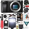 Sony a6100 Mirrorless Camera | Official Sony USA Partner Model | 4K APS-C Body Only Interchangeable Lens Camera ILCE-6100B with Deco Gear Case + Battery + Flash + Wireless Remote + 64GB Memory Card
