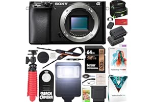 Sony a6100 Mirrorless Camera 4K APS-C Body Only Interchangeable Lens Camera ILCE-6100B with Deco Gear Case + Extra Battery + Flash + Wireless Remote + 64GB Memory Card + Software + Accessories Bundle