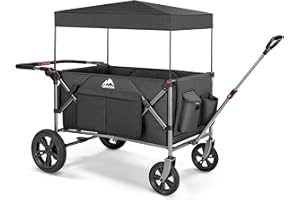 MAIZOA Foldable Wagons for Two Kids & Cargo, with 5-Point Harnesses,Adjustable Push/Pull Handle, Removable Sun Canopy, One-Step Locking Design, Suitable for Family Travel, Two Children Ride, Black