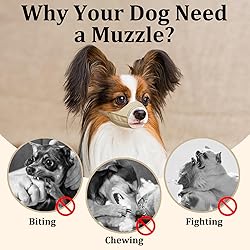 Mayerzon Short Snout Dog Muzzle, Small Muzzle for