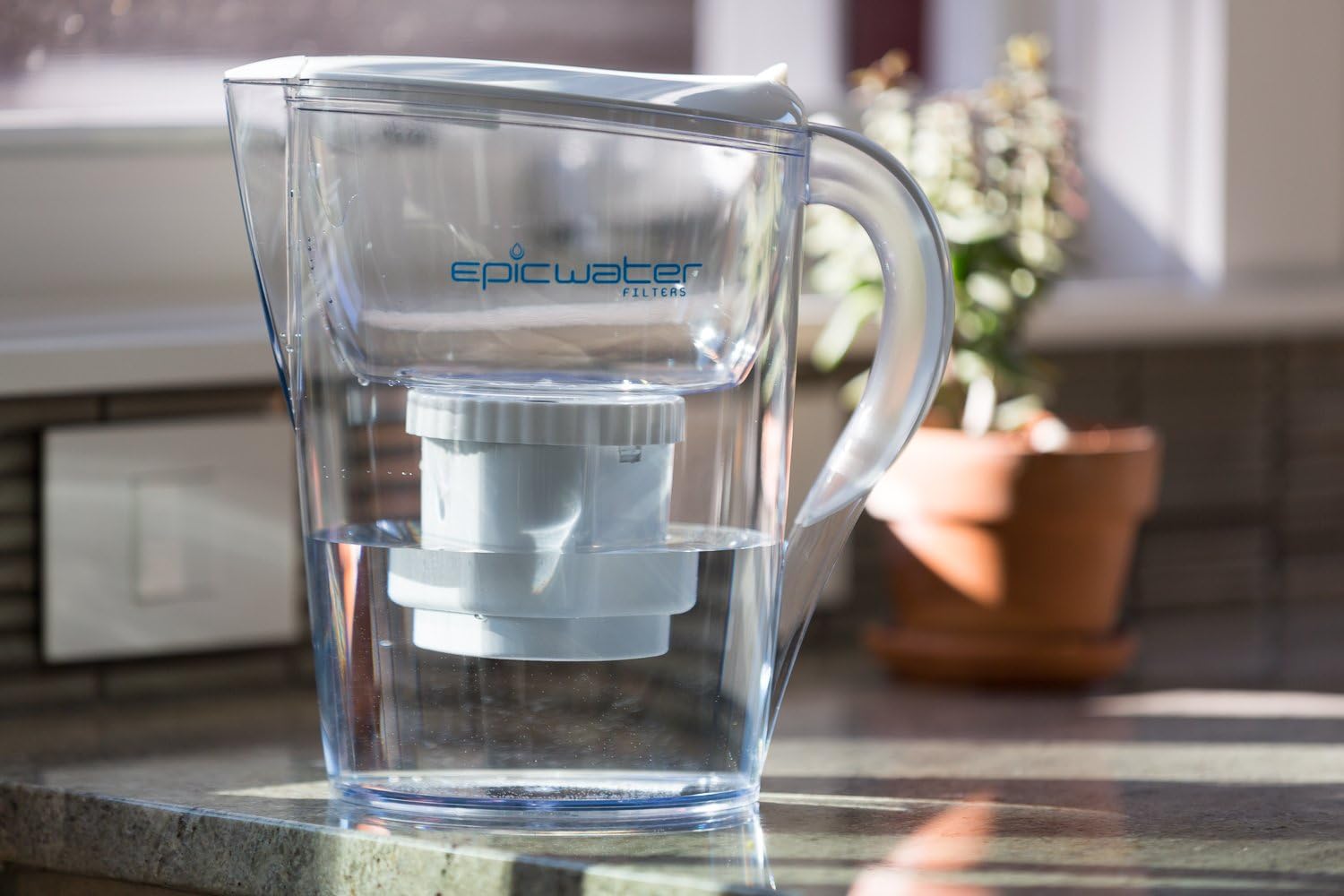 REPLACEMENT FILTER for Epic Pure Water Pitcher or Dispenser / 150 Gallon Long Last Filter | BPA Free. Removes Fluoride, Chlorine, Lead, Microplastics, PFC, PFOA, PFOS, PFAS.: Home Improvement
