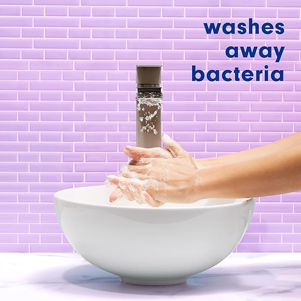 SOFTSOAP LIQUID HAND SOAP PUMP, ANTIBACTERIAL WHITE TEA AND BERRY FUSION, 11.25 OUNCE