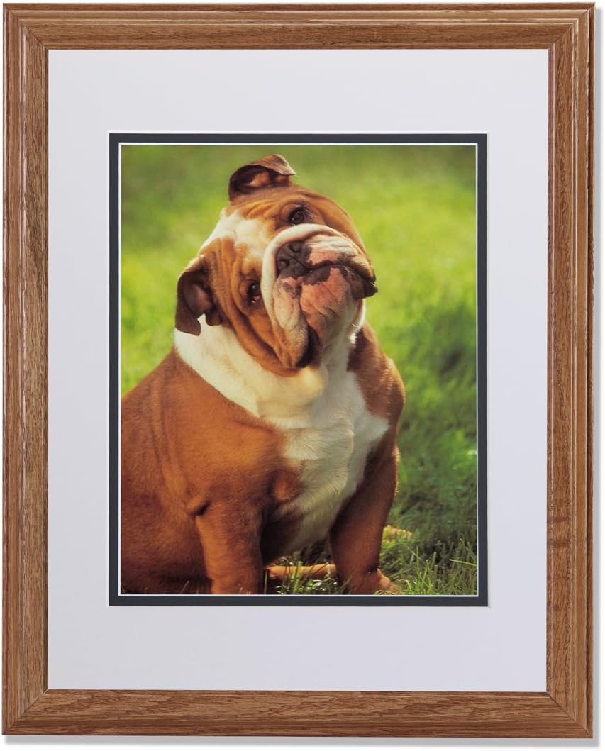 images Big Fat English Bulldog art prints inc big fat bulldog head