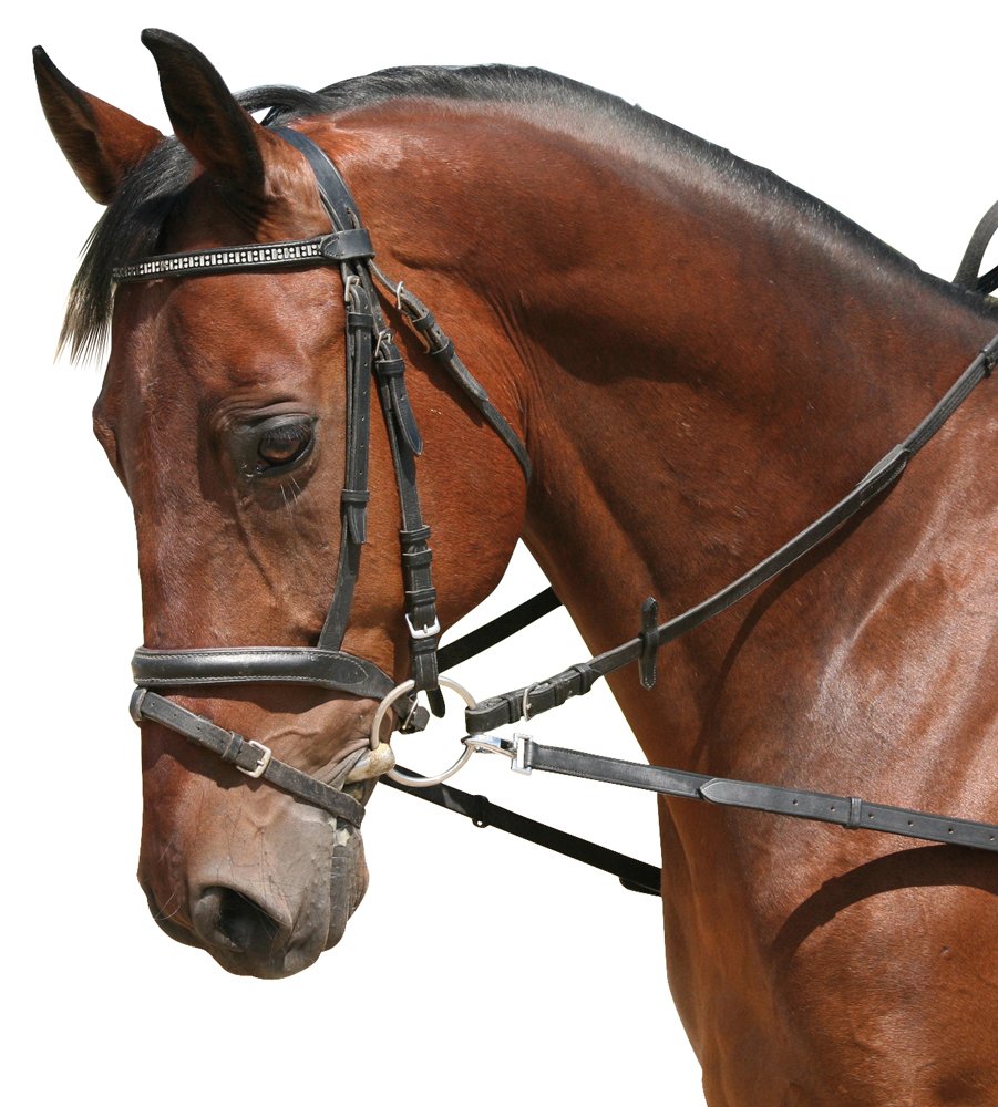 PFIFF Side Rein without Rubber Insert - black, Pony