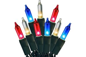 HISHINY Red White Blue 4th of July Patriotic Day Decorations Lights 100 Count Mini String Lights with Green Wire for Outdoor Indoor Christmas ,Holiday,Party, Independence Day Decor,UL Certified (21feet)