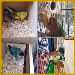 kathson Parakeet Nest Box Budgie Nesting House