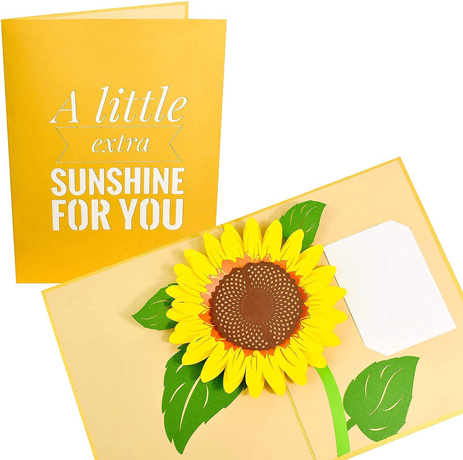 PopLife® Sunflower 3D Pop Up Mother's Day Card - Happy Golden Anniversary Card, Birthday, Thank You, Just Because, Sympathy, Get Well Soon - for Mom, for Daughter, for Wife, for Grandma