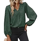 EGRETLAC Long Sleeve Blouses for Women, Leopard Print Chiffon Tops V Neck Loose Business Shirts Casual Work Tunic
