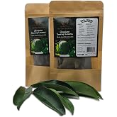 Jamaican Soursop Leaves 2 Pack Dried Handpicked Graviola Leaves Bush Tea