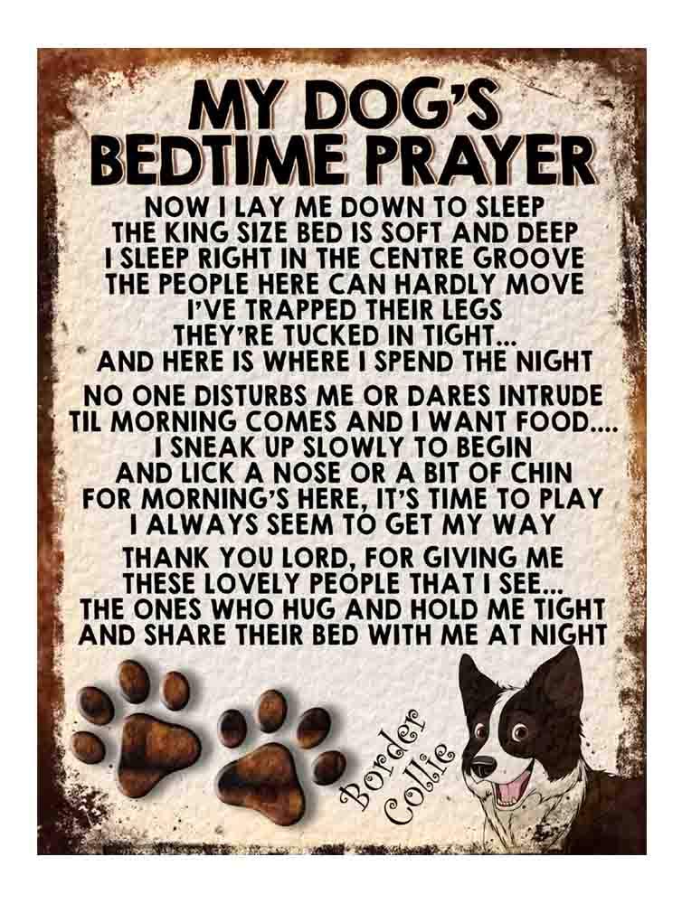 Shawprint MY DOG'S BEDTIME PRAYER RETRO STYLE METAL TIN SIGN/PLAQUE DOG BREEDS (Border Collie Dog)