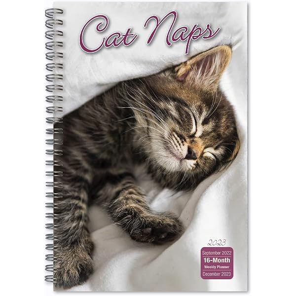 Amazon.com : LANG AMERICAN CAT™ 2023 SPIRAL ENGAGEMENT PLANNER  (23991011081) : Office Products