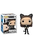 POP TV: Friends - Monica as