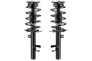 Richeer Front 2 PCS Strut Assembly Compatible with 2014-2019 Escape, Shock Absorber Front with Coil Spring Steel Replacement 172750 172751