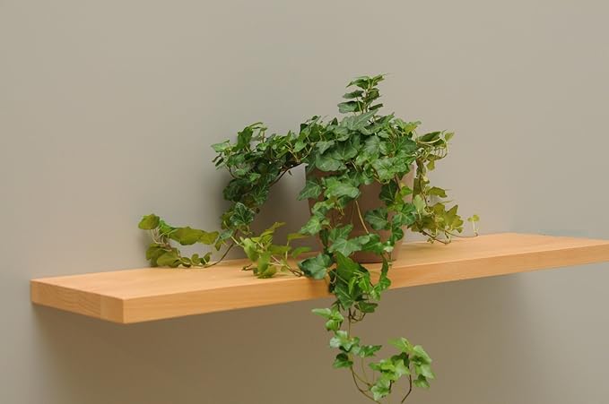 Wandbord Wandboard Design Livingboard Regal massiv Holz - verschiedene Holzarten wählbar - Tiefe:20cm Dicke:25mm (Buche, 30cm