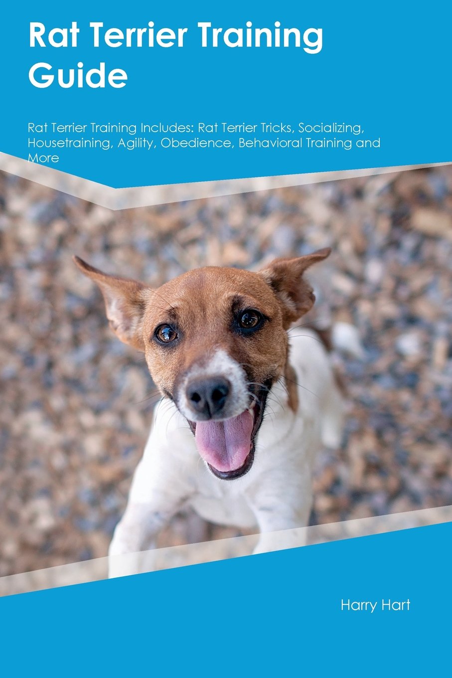 Rat Terrier Training Guide Rat Terrier Training Includes Rat Terrier Tricks Socializing Housetraining Agility Obedience Behavioral Training And More Lee Jack 9781526913098 Amazon Com Books