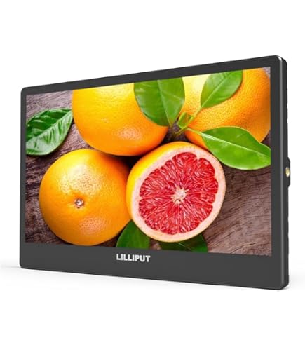 Amazon.com: LILLIPUT 10.1