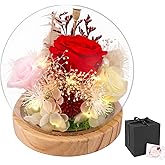 Hatende Preserved Flowers Real Red Rose in Glass Dome with Light, Eternal Flowers Glitter Roses Bouquet Birthday Mothers Day Unique Christmas Gifts for Mom