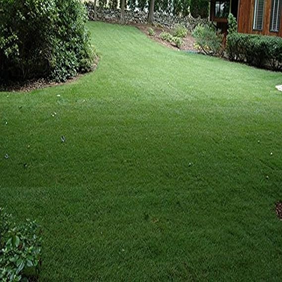 Nature's Seed Northeast Grass Seeds Blend, 500 sq. ft